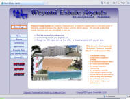 web development